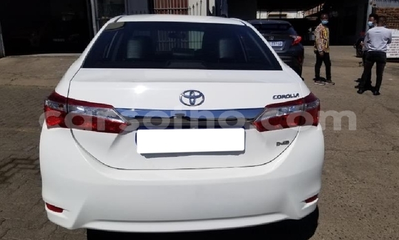 Acheter Occasion Voiture Toyota Corolla Blanc à Butha–Buthe, Thaba-Tseka Acheter Occasion Voiture Toyota Corolla Blanc à Butha–Buthe, Thaba-Tseka