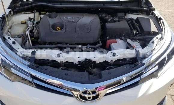 Acheter Occasion Voiture Toyota Corolla Blanc à Butha–Buthe, Thaba-Tseka Acheter Occasion Voiture Toyota Corolla Blanc à Butha–Buthe, Thaba-Tseka