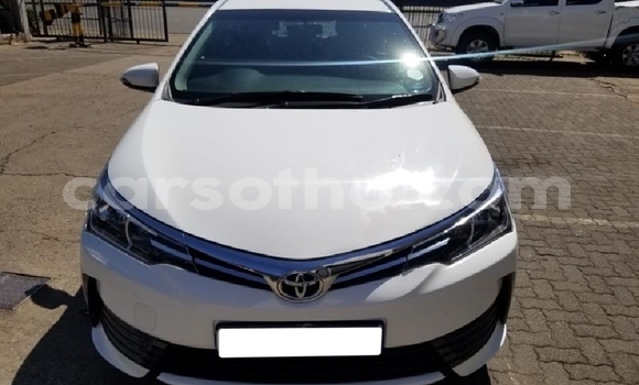 Acheter Occasion Voiture Toyota Corolla Blanc à Butha–Buthe, Thaba-Tseka Acheter Occasion Voiture Toyota Corolla Blanc à Butha–Buthe, Thaba-Tseka
