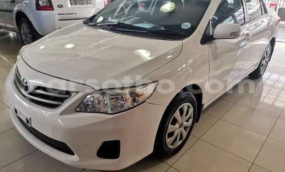 Acheter Occasion Voiture Toyota Corolla Blanc à Maseru, Maseru Acheter Occasion Voiture Toyota Corolla Blanc à Maseru, Maseru