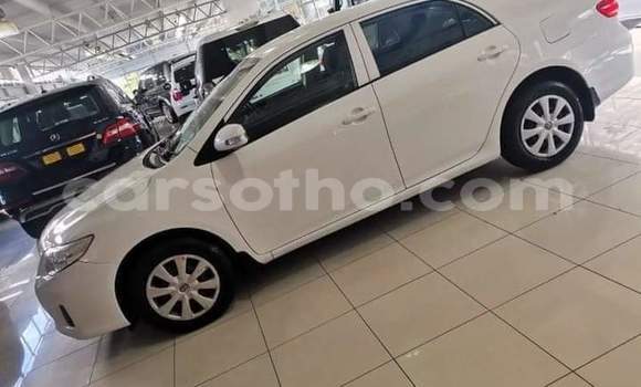 Acheter Occasion Voiture Toyota Corolla Blanc à Maseru, Maseru Acheter Occasion Voiture Toyota Corolla Blanc à Maseru, Maseru