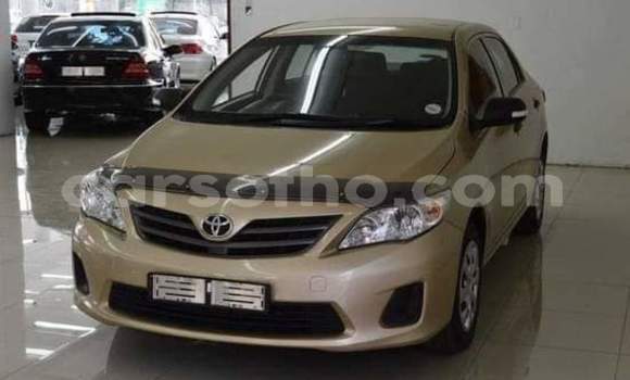 Acheter Occasion Voiture Toyota Corolla Gris à Maseru, Maseru Acheter Occasion Voiture Toyota Corolla Gris à Maseru, Maseru
