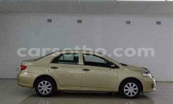 Acheter Occasion Voiture Toyota Corolla Gris à Maseru, Maseru Acheter Occasion Voiture Toyota Corolla Gris à Maseru, Maseru
