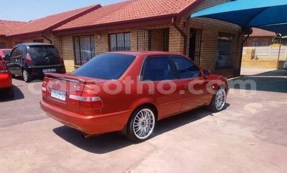 Acheter Occasion Voiture Toyota Corolla Rouge à Maseru, Maseru Acheter Occasion Voiture Toyota Corolla Rouge à Maseru, Maseru