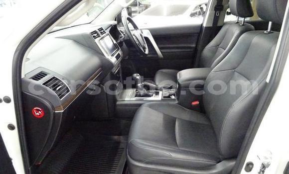 اشتري مستعمل Toyota Land Cruiser Prado White سيارة في Butha Buthe في Butha-Buthe اشتري مستعمل Toyota Land Cruiser Prado White سيارة في Butha Buthe في Butha-Buthe