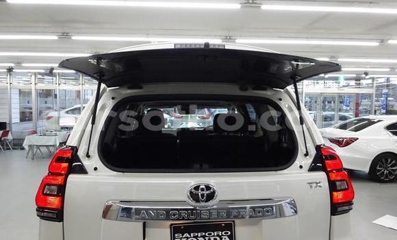 اشتري مستعمل Toyota Land Cruiser Prado White سيارة في Butha Buthe في Butha-Buthe اشتري مستعمل Toyota Land Cruiser Prado White سيارة في Butha Buthe في Butha-Buthe