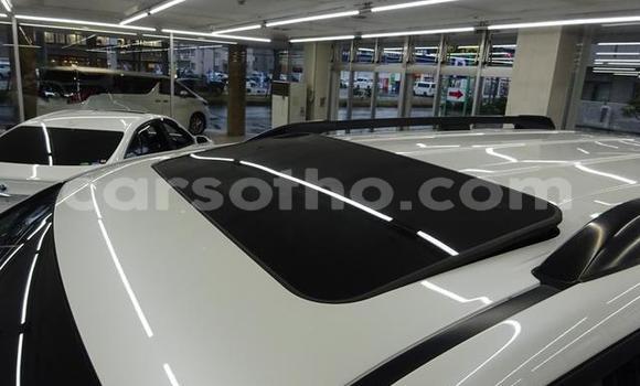 اشتري مستعمل Toyota Land Cruiser Prado White سيارة في Butha Buthe في Butha-Buthe اشتري مستعمل Toyota Land Cruiser Prado White سيارة في Butha Buthe في Butha-Buthe