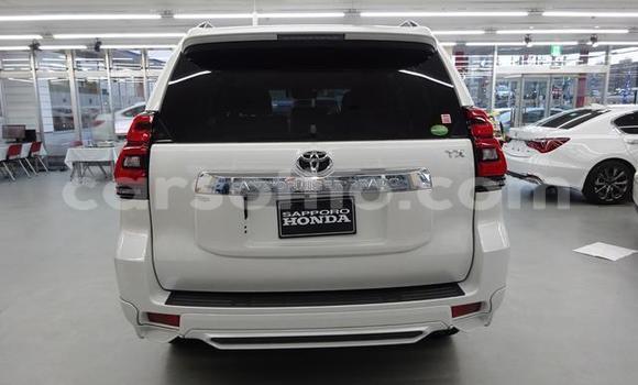 اشتري مستعمل Toyota Land Cruiser Prado White سيارة في Butha Buthe في Butha-Buthe اشتري مستعمل Toyota Land Cruiser Prado White سيارة في Butha Buthe في Butha-Buthe