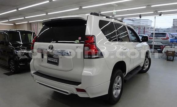 اشتري مستعمل Toyota Land Cruiser Prado White سيارة في Butha Buthe في Butha-Buthe اشتري مستعمل Toyota Land Cruiser Prado White سيارة في Butha Buthe في Butha-Buthe