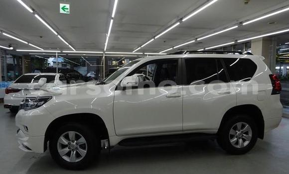 اشتري مستعمل Toyota Land Cruiser Prado White سيارة في Butha Buthe في Butha-Buthe اشتري مستعمل Toyota Land Cruiser Prado White سيارة في Butha Buthe في Butha-Buthe