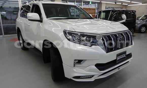 اشتري مستعمل Toyota Land Cruiser Prado White سيارة في Butha Buthe في Butha-Buthe اشتري مستعمل Toyota Land Cruiser Prado White سيارة في Butha Buthe في Butha-Buthe