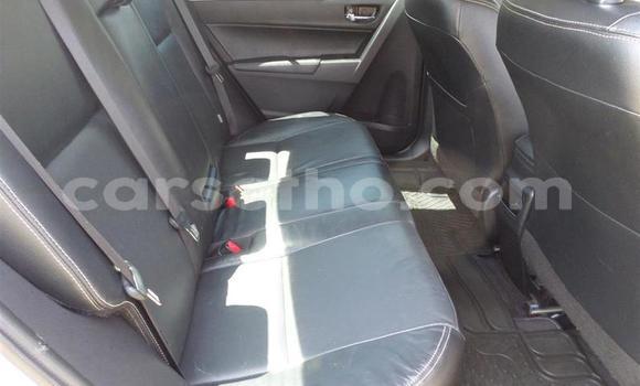 Sayi Na hannu Toyota Corolla Blue Mota in Maseru a Maseru Sayi Na hannu Toyota Corolla Blue Mota in Maseru a Maseru