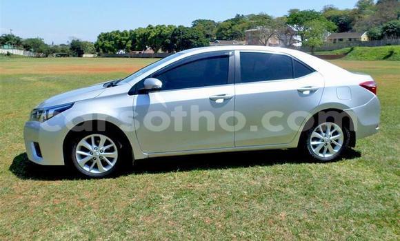 Sayi Na hannu Toyota Corolla Blue Mota in Maseru a Maseru Sayi Na hannu Toyota Corolla Blue Mota in Maseru a Maseru