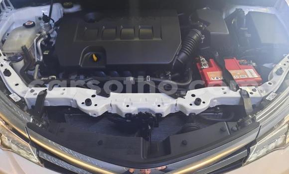 Acheter Occasion Voiture Toyota Corolla Blanc à Maseru, Maseru Acheter Occasion Voiture Toyota Corolla Blanc à Maseru, Maseru