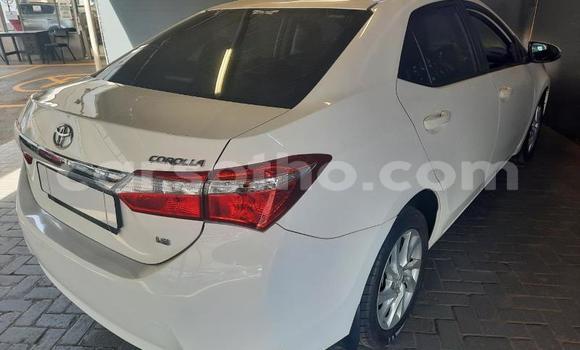 Acheter Occasion Voiture Toyota Corolla Blanc à Maseru, Maseru Acheter Occasion Voiture Toyota Corolla Blanc à Maseru, Maseru