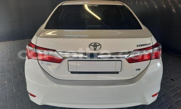 Acheter Occasion Voiture Toyota Corolla Blanc à Maseru, Maseru Acheter Occasion Voiture Toyota Corolla Blanc à Maseru, Maseru