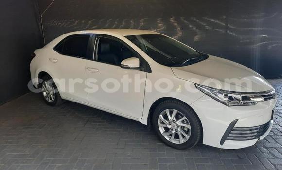 Acheter Occasion Voiture Toyota Corolla Blanc à Maseru, Maseru Acheter Occasion Voiture Toyota Corolla Blanc à Maseru, Maseru