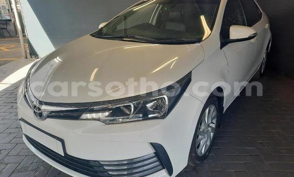 Acheter Occasion Voiture Toyota Corolla Blanc à Maseru, Maseru Acheter Occasion Voiture Toyota Corolla Blanc à Maseru, Maseru