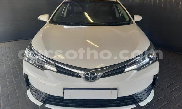 Acheter Occasion Voiture Toyota Corolla Blanc à Maseru, Maseru Acheter Occasion Voiture Toyota Corolla Blanc à Maseru, Maseru