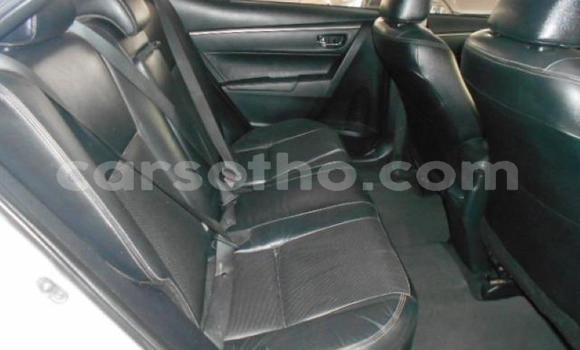 Acheter Occasion Voiture Toyota Corolla Blanc à Maseru, Maseru Acheter Occasion Voiture Toyota Corolla Blanc à Maseru, Maseru