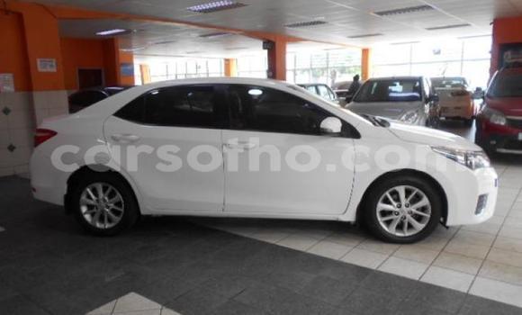 Acheter Occasion Voiture Toyota Corolla Blanc à Maseru, Maseru Acheter Occasion Voiture Toyota Corolla Blanc à Maseru, Maseru