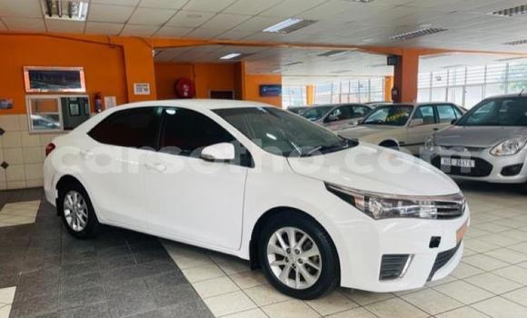 Acheter Occasion Voiture Toyota Corolla Blanc à Maseru, Maseru Acheter Occasion Voiture Toyota Corolla Blanc à Maseru, Maseru