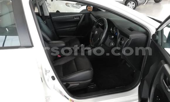 Acheter Occasion Voiture Toyota Corolla Blanc à Maseru, Maseru Acheter Occasion Voiture Toyota Corolla Blanc à Maseru, Maseru