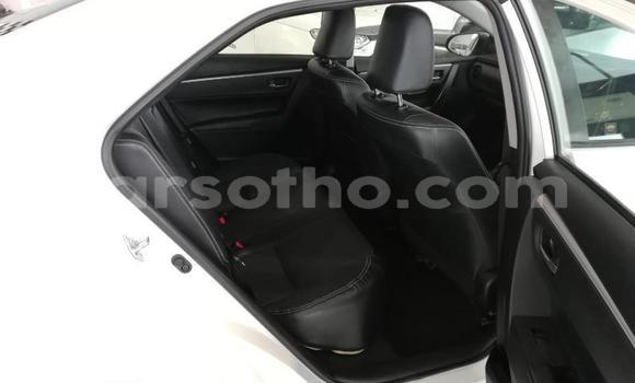 Acheter Occasion Voiture Toyota Corolla Blanc à Maseru, Maseru Acheter Occasion Voiture Toyota Corolla Blanc à Maseru, Maseru