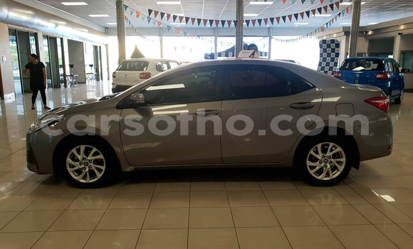 Acheter Occasion Voiture Toyota Corolla Marron à Maseru, Maseru Acheter Occasion Voiture Toyota Corolla Marron à Maseru, Maseru