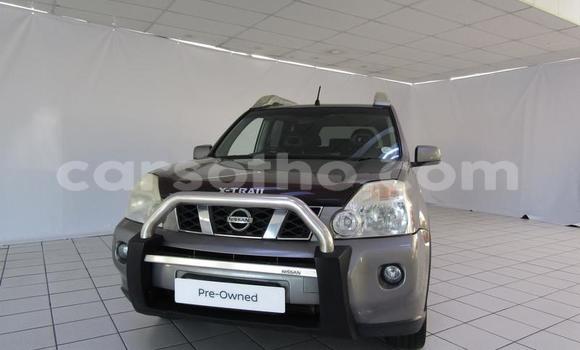 Buy Used Nissan X–Trail Other Car in Butha Buthe in Butha-Buthe Buy Used Nissan X–Trail Other Car in Butha Buthe in Butha-Buthe