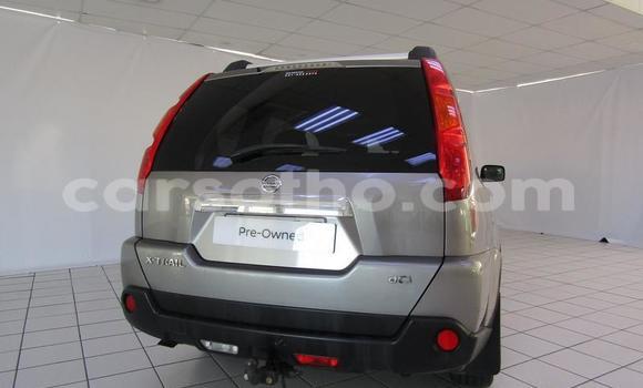Buy Used Nissan X–Trail Other Car in Butha Buthe in Butha-Buthe Buy Used Nissan X–Trail Other Car in Butha Buthe in Butha-Buthe