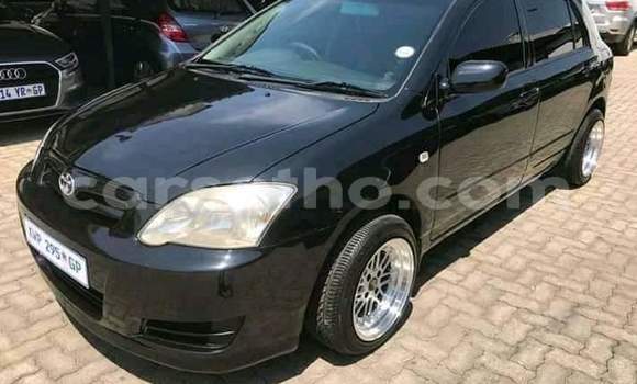 Acheter Occasion Voiture Toyota Corolla Blanc à Maseru, Maseru Acheter Occasion Voiture Toyota Corolla Blanc à Maseru, Maseru