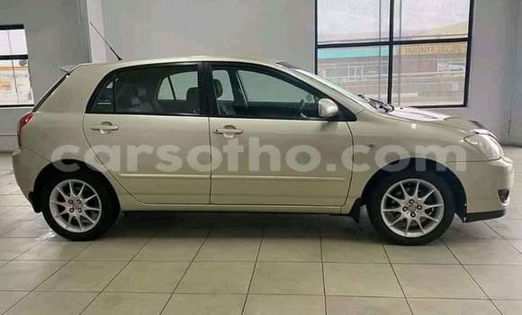 Acheter Occasion Voiture Toyota Runx Blanc à Maseru, Maseru Acheter Occasion Voiture Toyota Runx Blanc à Maseru, Maseru