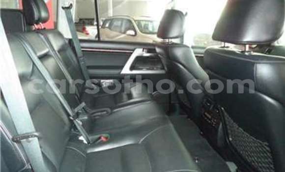 Buy Used Toyota Land Cruiser White Car in Butha–Buthe in Thaba-Tseka Buy Used Toyota Land Cruiser White Car in Butha–Buthe in Thaba-Tseka