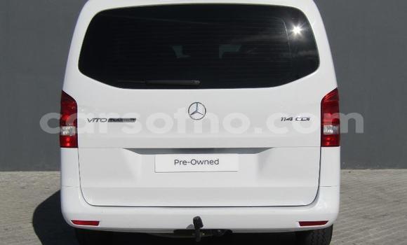 اشتري مستعمل Mercedes-Benz Vito White سيارة في Maseru في Maseru اشتري مستعمل Mercedes-Benz Vito White سيارة في Maseru في Maseru