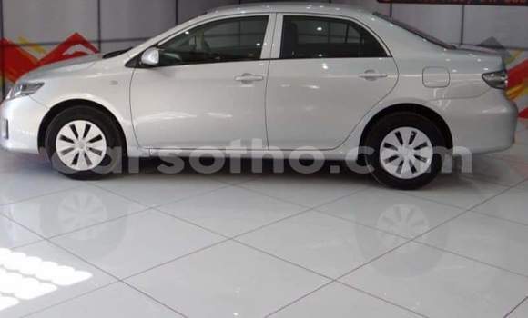 Sayi Na hannu Toyota Hilux Other Mota in Hlotse a Leribe Sayi Na hannu Toyota Hilux Other Mota in Hlotse a Leribe