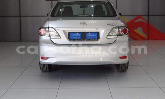 Sayi Na hannu Toyota Hilux Other Mota in Hlotse a Leribe Sayi Na hannu Toyota Hilux Other Mota in Hlotse a Leribe