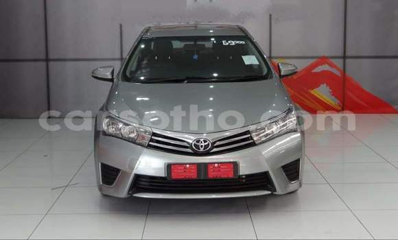 Sayi Na hannu Toyota Corolla Silver Mota in Hlotse a Leribe Sayi Na hannu Toyota Corolla Silver Mota in Hlotse a Leribe