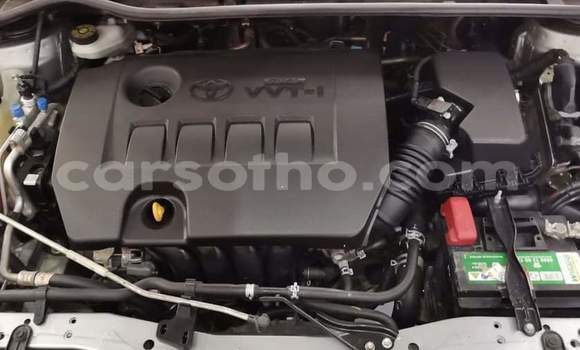 Sayi Na hannu Toyota Corolla Silver Mota in Hlotse a Leribe Sayi Na hannu Toyota Corolla Silver Mota in Hlotse a Leribe