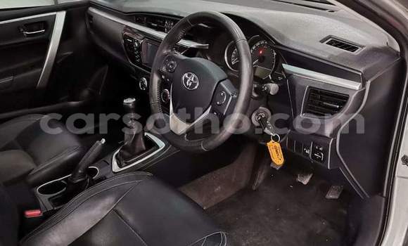 Sayi Na hannu Toyota Corolla Silver Mota in Hlotse a Leribe Sayi Na hannu Toyota Corolla Silver Mota in Hlotse a Leribe