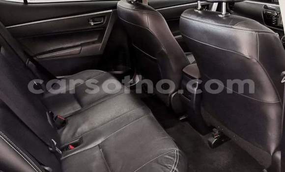 Sayi Na hannu Toyota Corolla Silver Mota in Hlotse a Leribe Sayi Na hannu Toyota Corolla Silver Mota in Hlotse a Leribe