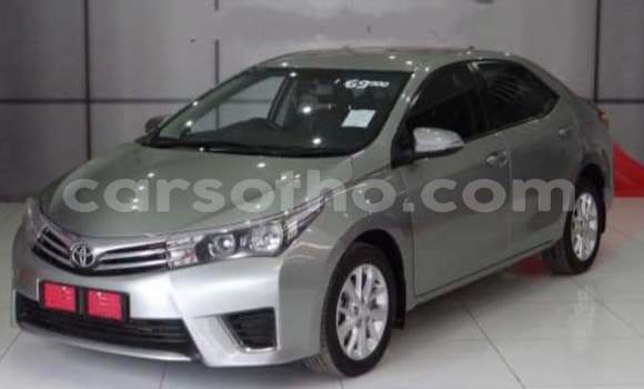 Sayi Na hannu Toyota Corolla Silver Mota in Hlotse a Leribe Sayi Na hannu Toyota Corolla Silver Mota in Hlotse a Leribe