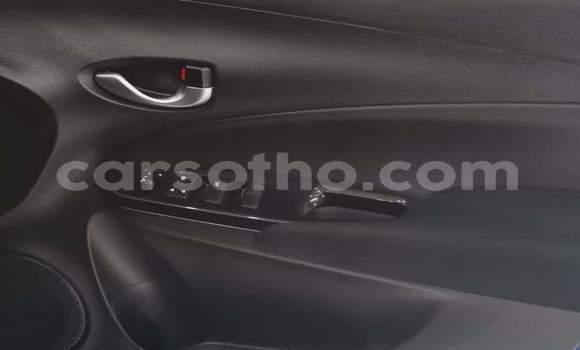 Buy Used Toyota Yaris Blue Car in Hlotse in Leribe Buy Used Toyota Yaris Blue Car in Hlotse in Leribe