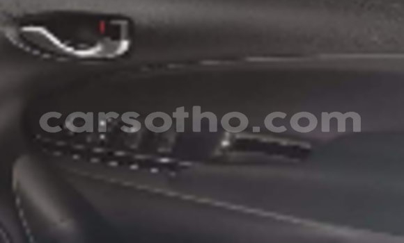 Buy Used Toyota Yaris Blue Car in Hlotse in Leribe Buy Used Toyota Yaris Blue Car in Hlotse in Leribe