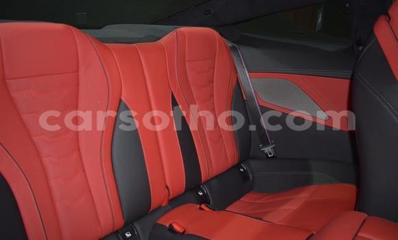 اشتري مستعمل BMW 8er Blue سيارة في Roma في Maseru اشتري مستعمل BMW 8er Blue سيارة في Roma في Maseru
