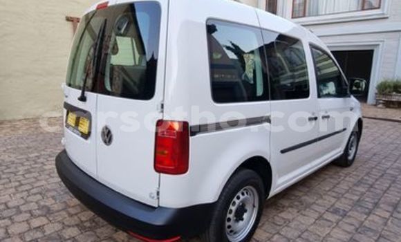 اشتري مستعمل Volkswagen Caddy White سيارة في Hlotse في Leribe اشتري مستعمل Volkswagen Caddy White سيارة في Hlotse في Leribe