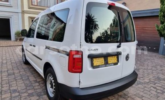اشتري مستعمل Volkswagen Caddy White سيارة في Hlotse في Leribe اشتري مستعمل Volkswagen Caddy White سيارة في Hlotse في Leribe