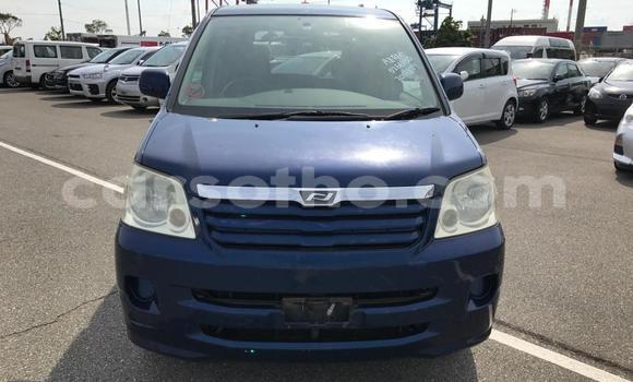 Buy Used Toyota Noah Blue Car in Butha–Buthe in Thaba-Tseka Buy Used Toyota Noah Blue Car in Butha–Buthe in Thaba-Tseka