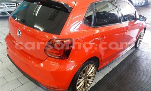 اشتري مستعمل Volkswagen Polo Red سيارة في Butha–Buthe في Thaba-Tseka اشتري مستعمل Volkswagen Polo Red سيارة في Butha–Buthe في Thaba-Tseka