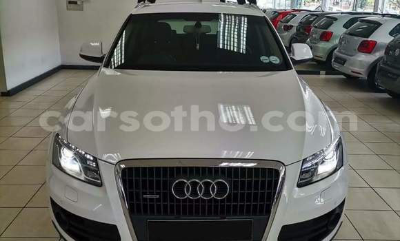 اشتري مستعمل Audi Q5 White سيارة في Hlotse في Leribe اشتري مستعمل Audi Q5 White سيارة في Hlotse في Leribe
